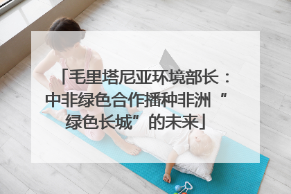 毛里塔尼亚环境部长：中非绿色合作播种非洲“绿色长城”的未来