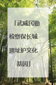 武威民勤检察保长城遗址护文化基因
