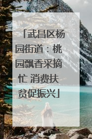 武昌区杨园街道：桃园飘香采摘忙 消费扶贫促振兴