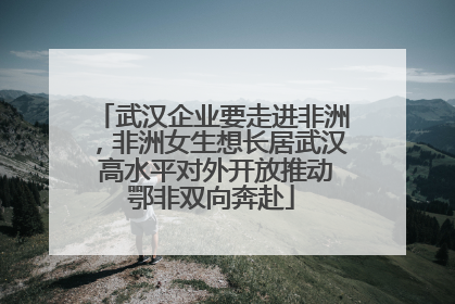 武汉企业要走进非洲，非洲女生想长居武汉 高水平对外开放推动鄂非双向奔赴