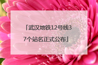 武汉地铁12号线37个站名正式公布