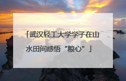 武汉轻工大学学子在山水田间感悟“粮心”