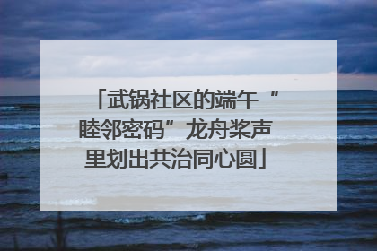 武锅社区的端午“睦邻密码”龙舟桨声里划出共治同心圆
