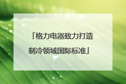 格力电器致力打造制冷领域国际标准