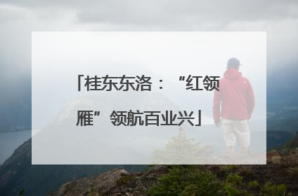 桂东东洛：“红领雁”领航百业兴