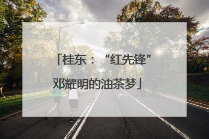 桂东：“红先锋”邓耀明的油茶梦