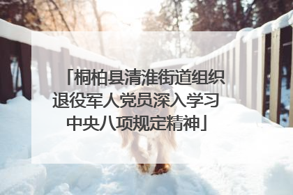 桐柏县清淮街道组织退役军人党员深入学习中央八项规定精神