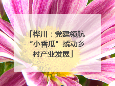 桦川：党建领航“小香瓜”撬动乡村产业发展