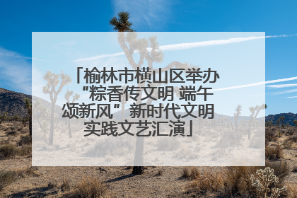 榆林市横山区举办“粽香传文明 端午颂新风”新时代文明实践文艺汇演