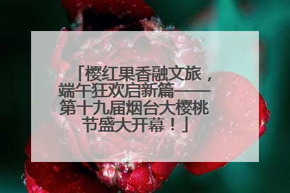 樱红果香融文旅，端午狂欢启新篇——第十九届烟台大樱桃节盛大开幕！