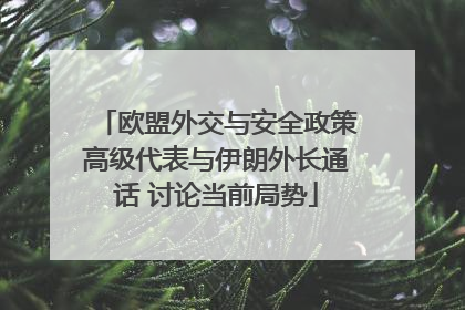 欧盟外交与安全政策高级代表与伊朗外长通话 讨论当前局势