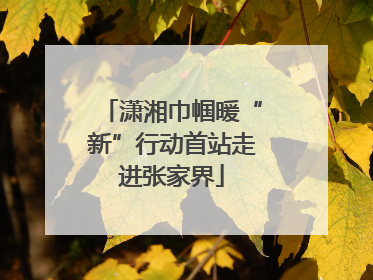 潇湘巾帼暖“新”行动首站走进张家界