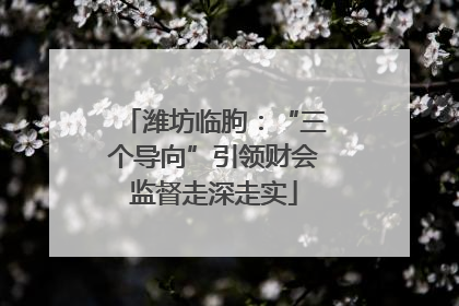 潍坊临朐：“三个导向”引领财会监督走深走实