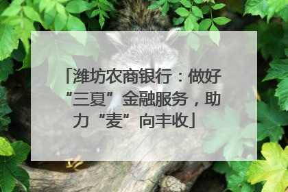 潍坊农商银行：做好“三夏”金融服务，助力“麦”向丰收
