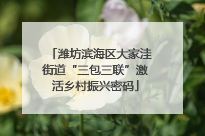 潍坊滨海区大家洼街道“三包三联”激活乡村振兴密码