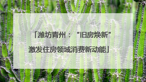 潍坊青州：“旧房焕新”激发住房领域消费新动能