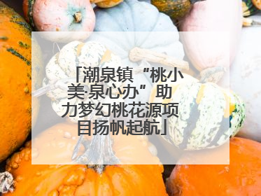 潮泉镇“桃小美·泉心办”助力梦幻桃花源项目扬帆起航