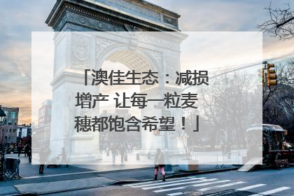 澳佳生态：减损增产 让每一粒麦穗都饱含希望！