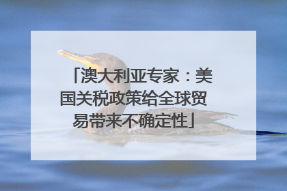 澳大利亚专家：美国关税政策给全球贸易带来不确定性
