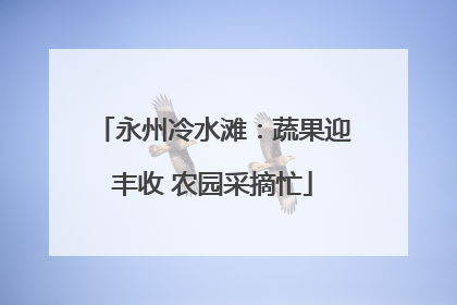 永州冷水滩：蔬果迎丰收 农园采摘忙