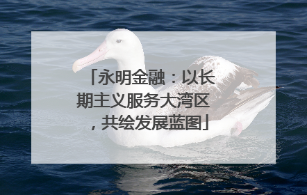 永明金融：以长期主义服务大湾区，共绘发展蓝图