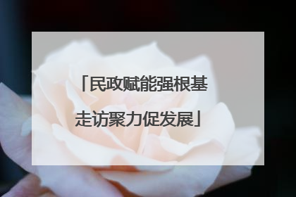 民政赋能强根基 走访聚力促发展