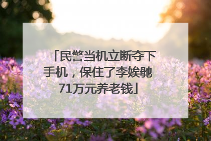 民警当机立断夺下手机，保住了李娭毑71万元养老钱
