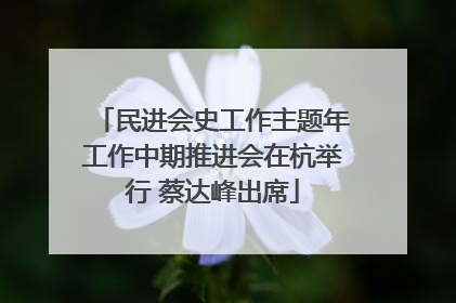 民进会史工作主题年工作中期推进会在杭举行 蔡达峰出席