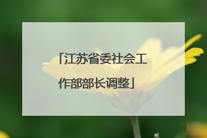 江苏省委社会工作部部长调整