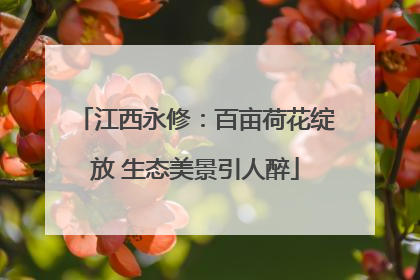 江西永修：百亩荷花绽放 生态美景引人醉