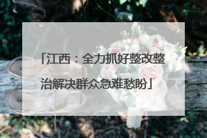 江西：全力抓好整改整治解决群众急难愁盼