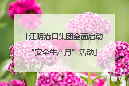 江阴港口集团全面启动“安全生产月”活动
