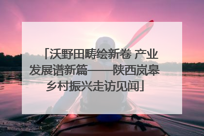 沃野田畴绘新卷 产业发展谱新篇——陕西岚皋乡村振兴走访见闻