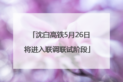 沈白高铁5月26日将进入联调联试阶段