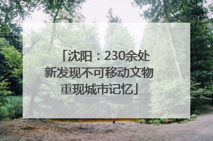 沈阳：230余处新发现不可移动文物重现城市记忆