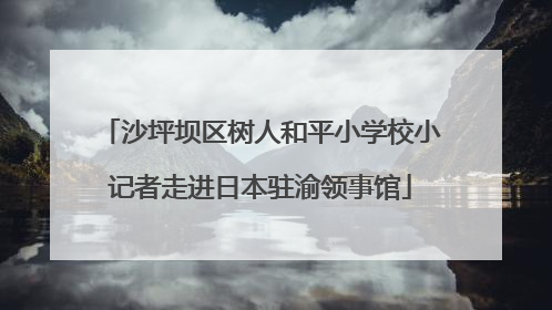 沙坪坝区树人和平小学校小记者走进日本驻渝领事馆