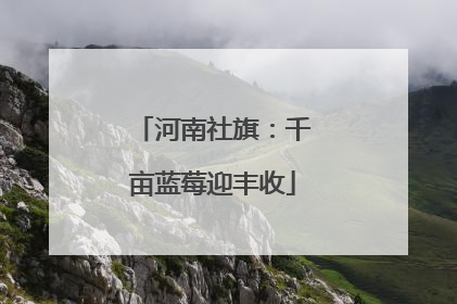 河南社旗：千亩蓝莓迎丰收