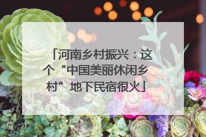 河南乡村振兴：这个“中国美丽休闲乡村”地下民宿很火