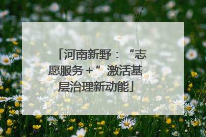 河南新野：“志愿服务＋”激活基层治理新动能