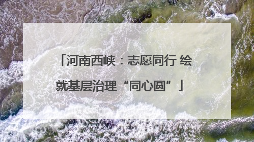 河南西峡：志愿同行 绘就基层治理“同心圆”