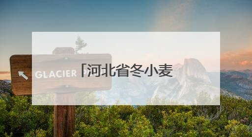 河北省冬小麦大规模机收工作全面启动