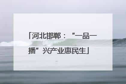 河北邯郸：“一品一播”兴产业惠民生