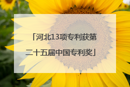 河北13项专利获第二十五届中国专利奖