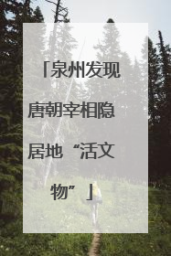 泉州发现唐朝宰相隐居地“活文物”