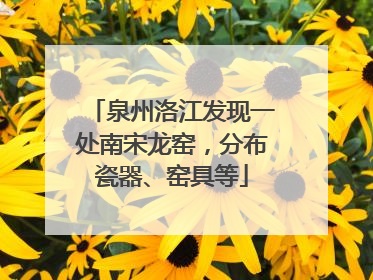 泉州洛江发现一处南宋龙窑，分布瓷器、窑具等