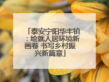 泰安宁阳华丰镇：绘就人居环境新画卷 书写乡村振兴新篇章