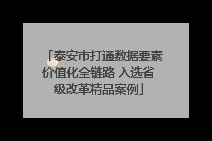 泰安市打通数据要素价值化全链路 入选省级改革精品案例
