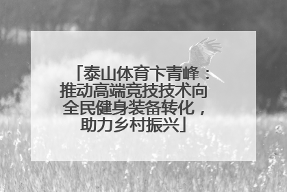 泰山体育卞青峰：推动高端竞技技术向全民健身装备转化，助力乡村振兴