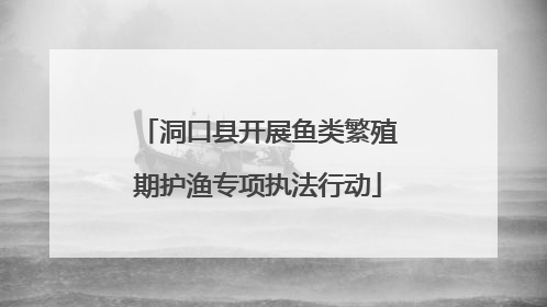 洞口县开展鱼类繁殖期护渔专项执法行动