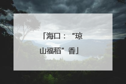 海口：“琼山福稻”香